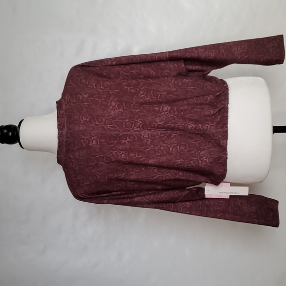 Evolution And Creation Top - Picture 5 of 9